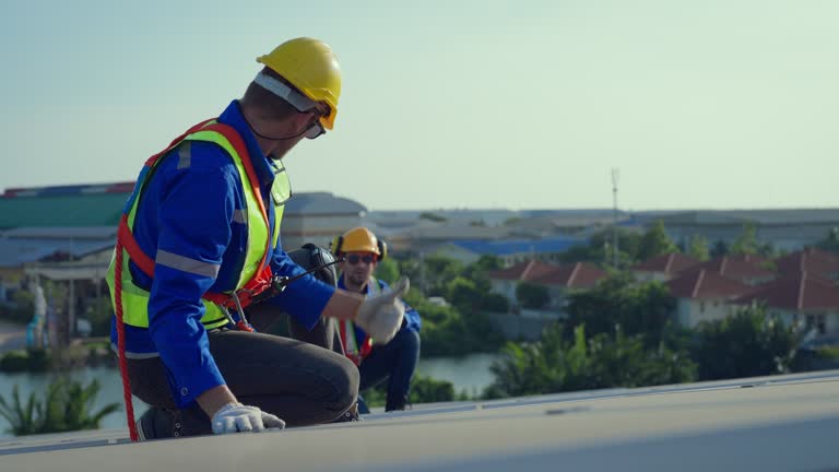 Best Roof Insulation Installation  in Redlands, CA